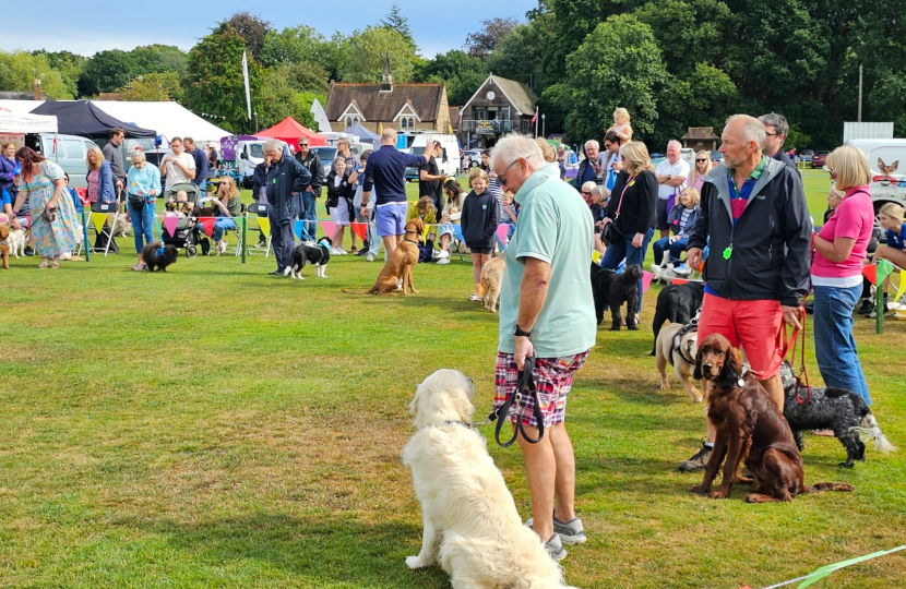 Dog Show